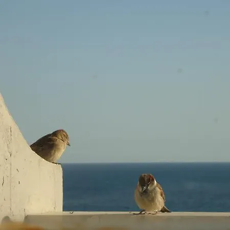 Pearl - Beach-vista Mar