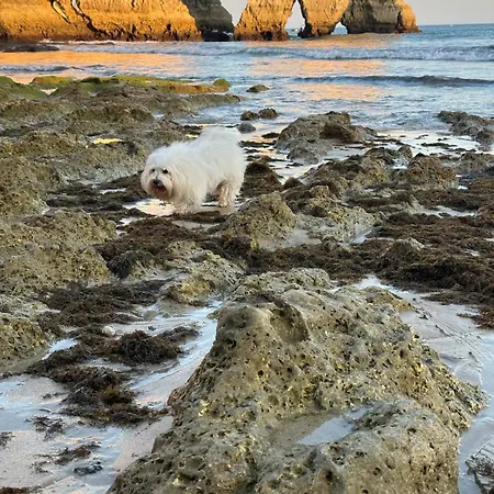 Pearl - Beach-vista Mar Апартаменты